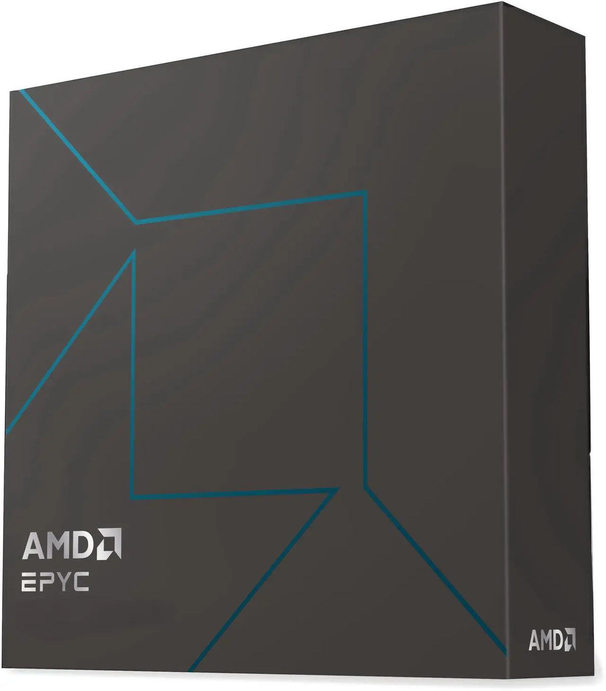 AMD EPYC 4005 Series Server Processor | 12-Core | 64MB L3 Cache | Socket AM5 | 65W | 4465P | 100-100001558WOF