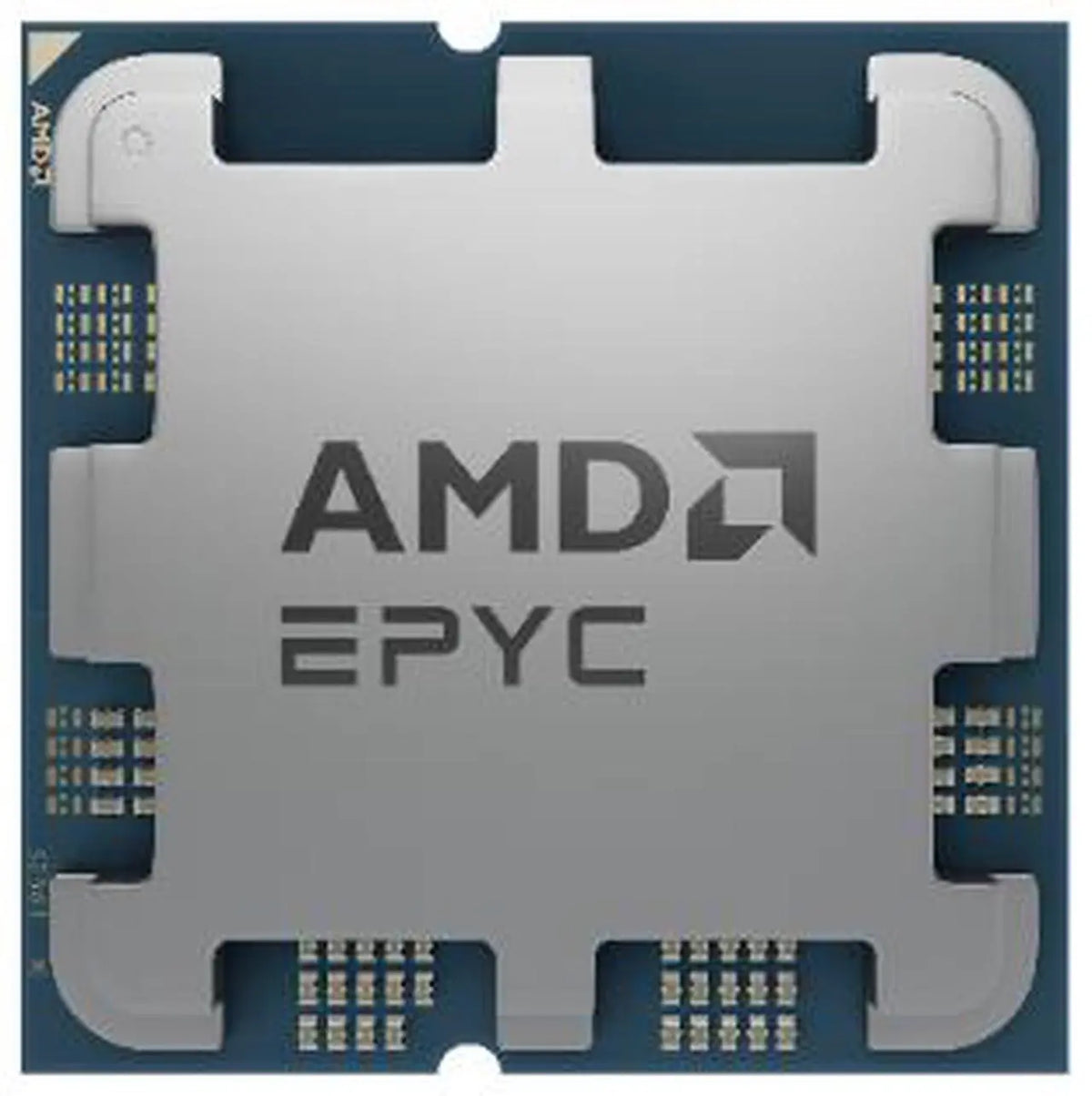 AMD EPYC 4005 Series Server Processor | 12-Core | 64MB L3 Cache | Socket AM5 | 65W | 4465P | 100-100001558WOF