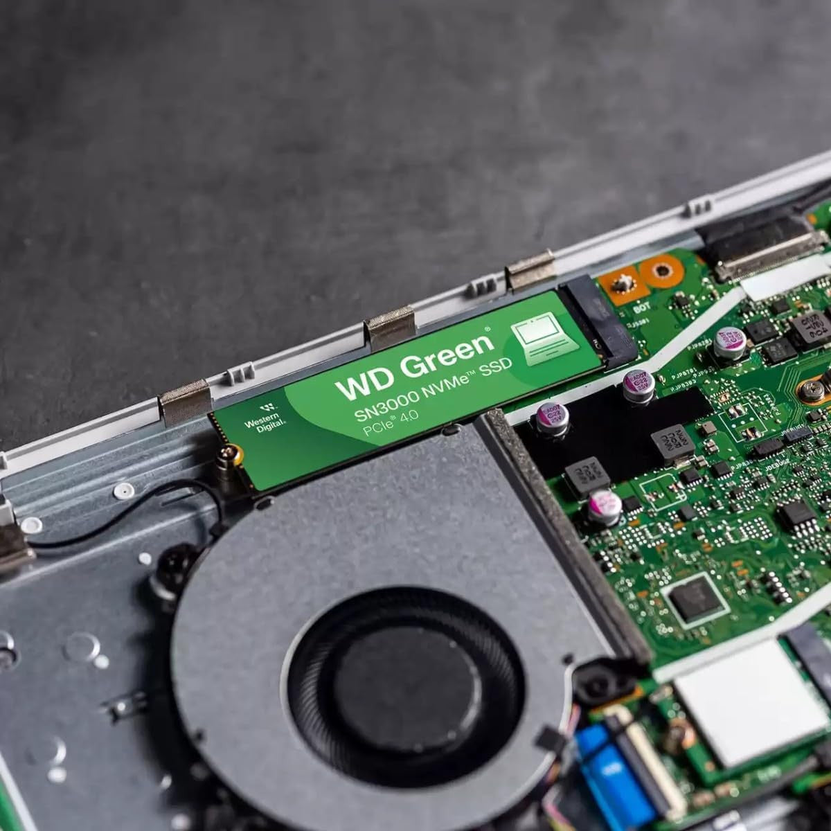 Backed by WD reliability with built-in thermal management and durability for long-lasting performance.