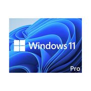 Microsoft Windows 11 Pro 64 Bit 1PK DSP DVD FQC-10529