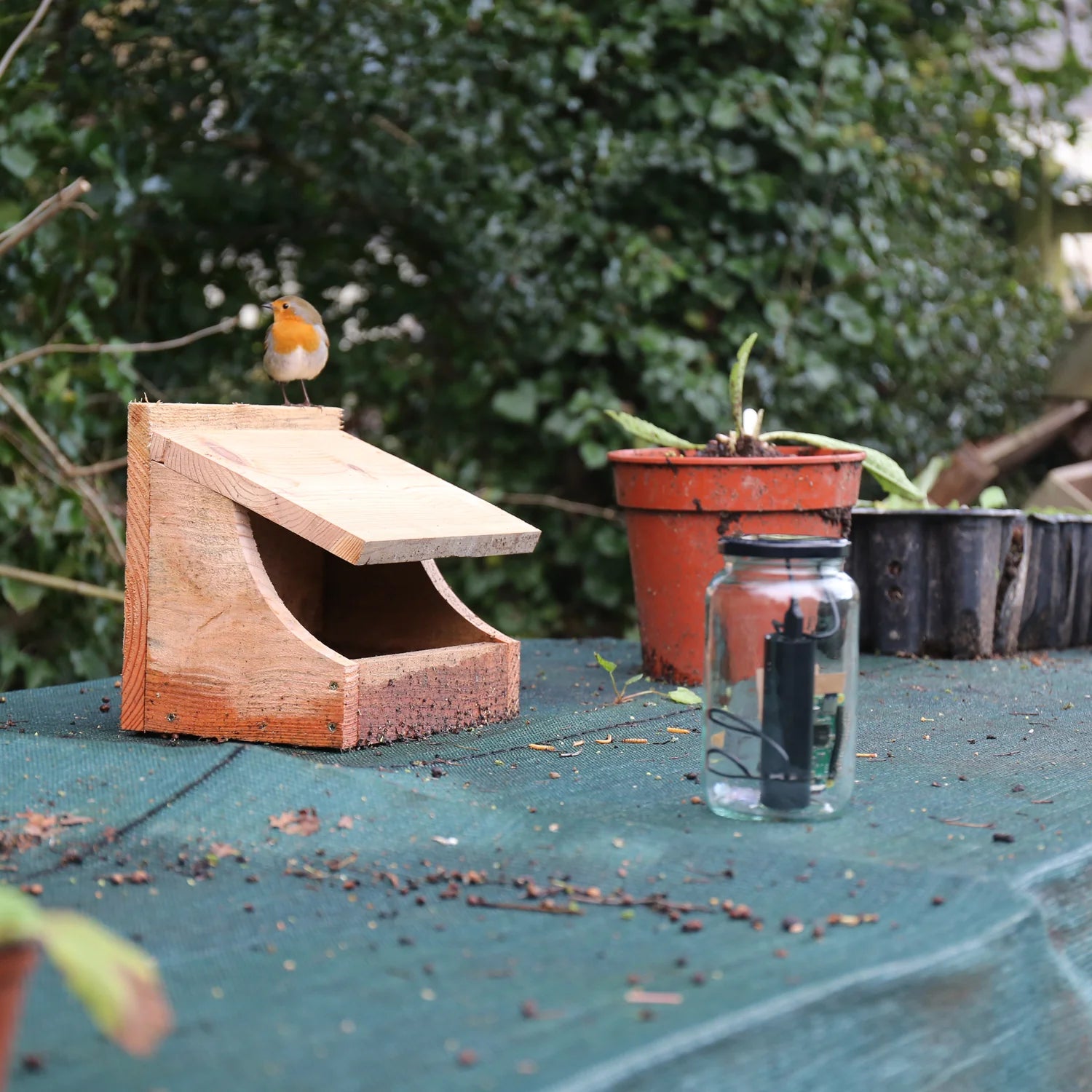 Pimoroni Wildlife Camera Low Light, Motion Detection, by Pimoroni - PIM358