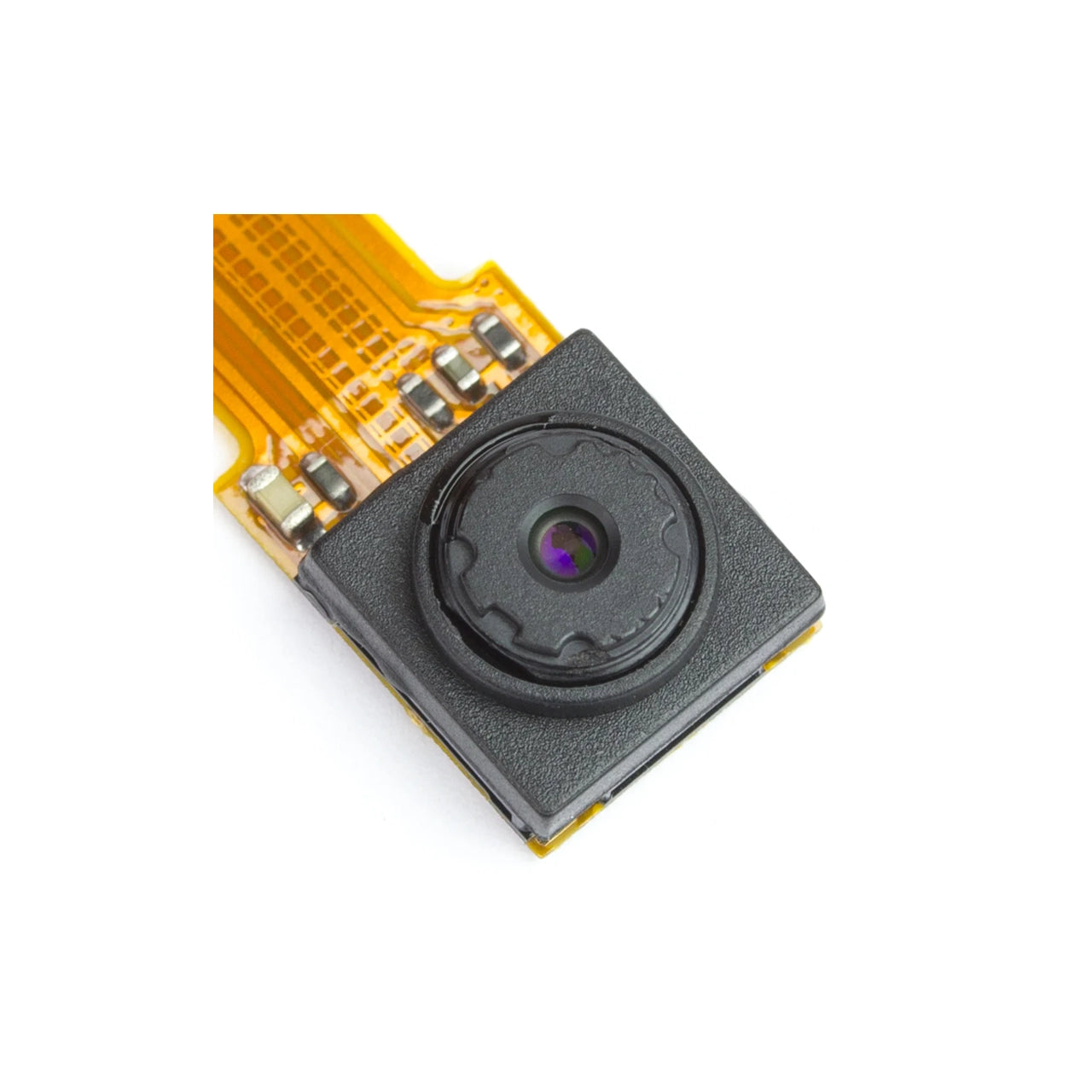 Pimoroni Wildlife Camera Low Light, Motion Detection, by Pimoroni - PIM358