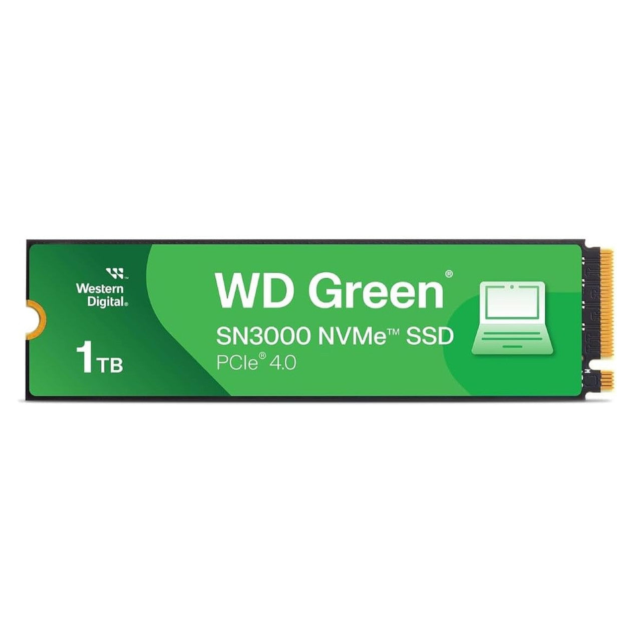 Delivers blazing-fast read speeds up to 5,000 MB/s with Gen4 PCIe NVMe technology for enhanced system performance.