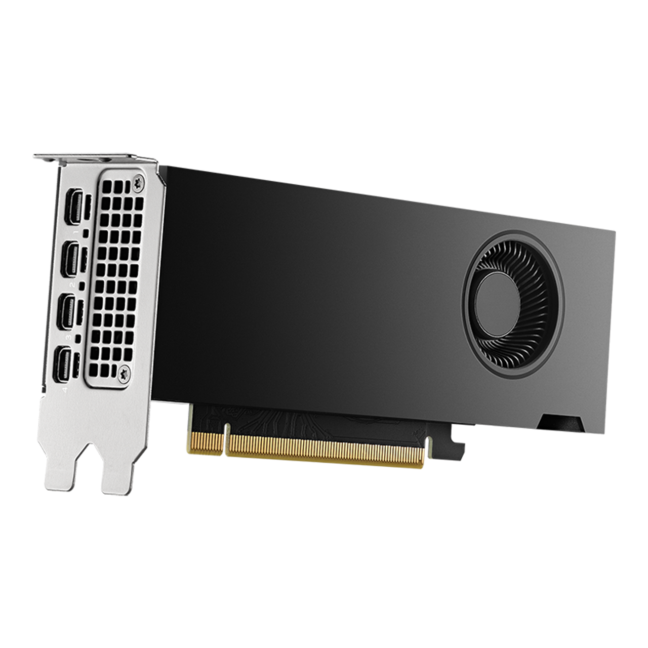 PNY NVIDIA RTX 2000, Ada Generation 16GB, DDR6, 128-Bit Graphics Card VCNRTX2000ADA-PB