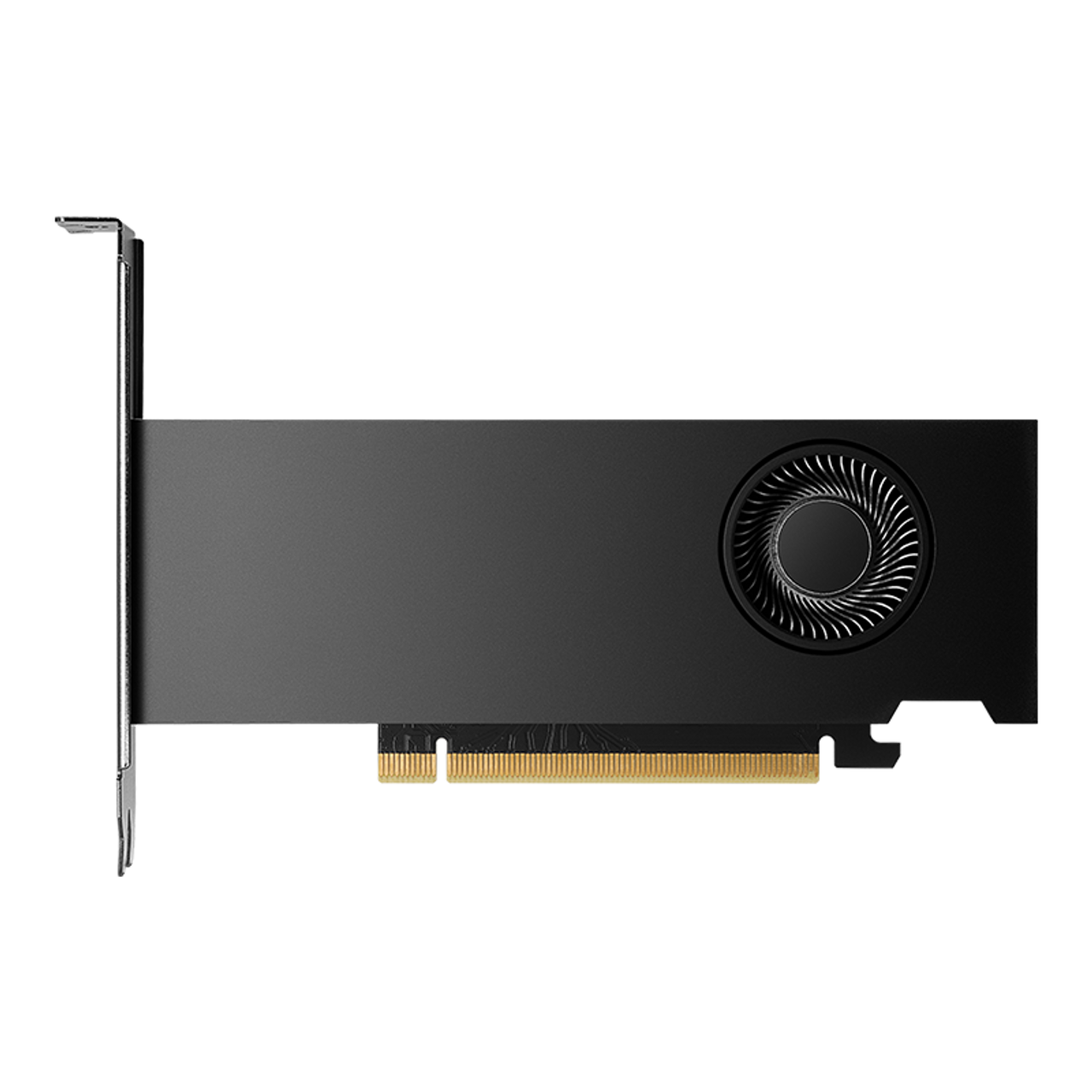 PNY NVIDIA RTX 2000, Ada Generation 16GB, DDR6, 128-Bit Graphics Card VCNRTX2000ADA-PB